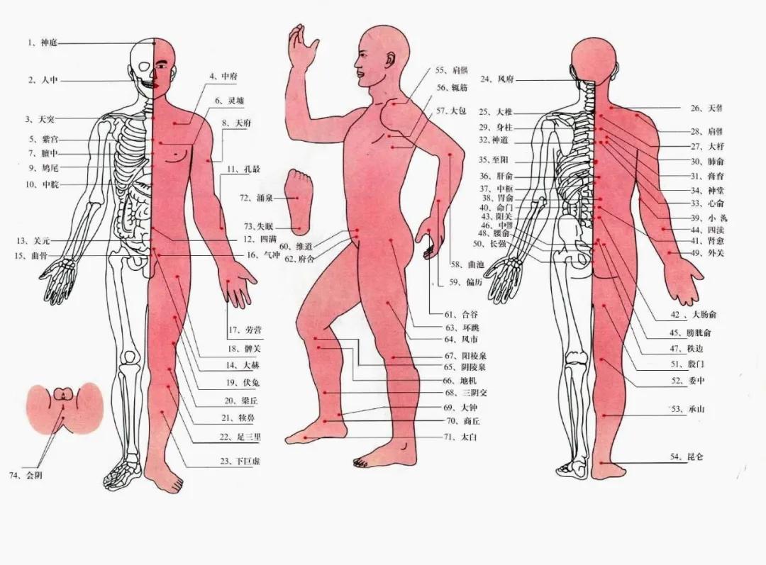 民国针灸知识大全集,民国针灸知识点