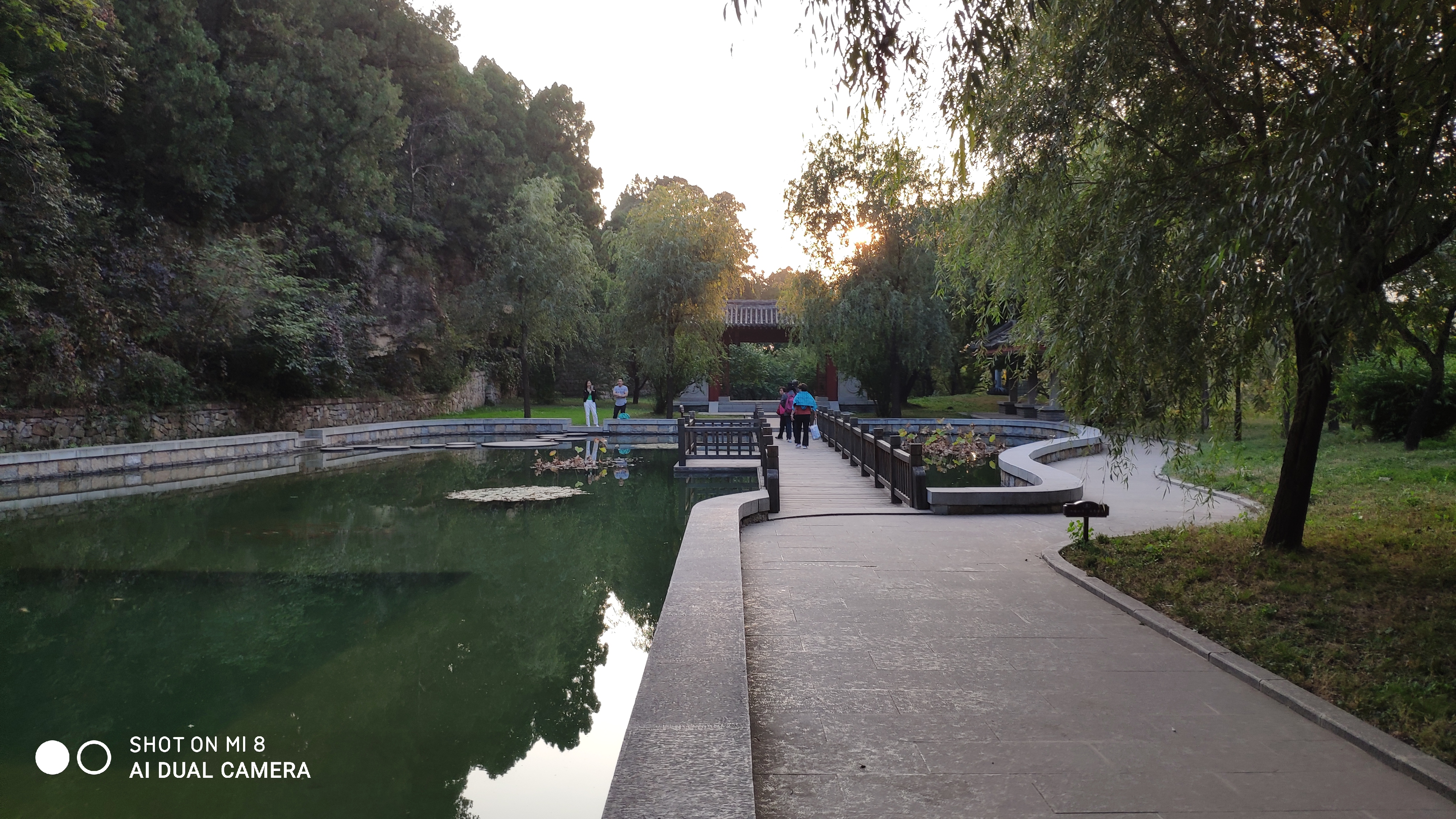 去济南灵岩寺什么必看,济南灵岩寺神树