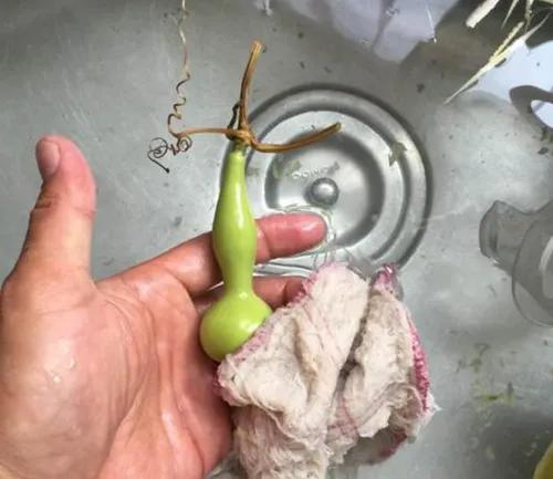 葫芦打皮的正确方法,葫芦打皮技巧视频