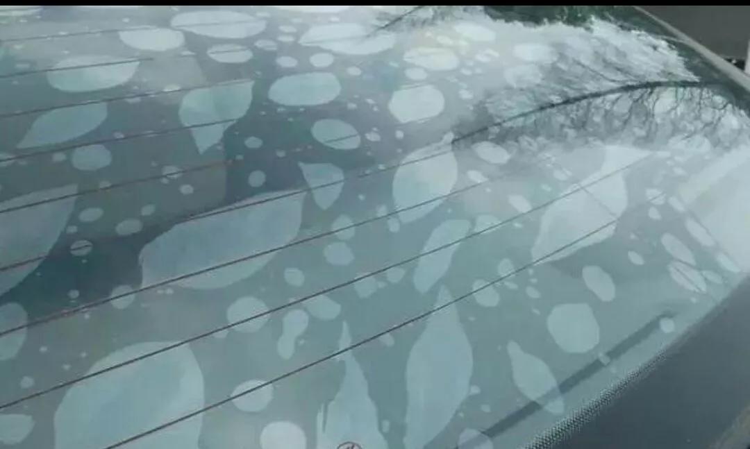 车窗贴膜撕掉后怎么快速除胶,玻璃撕掉贴膜后的胶怎么去除