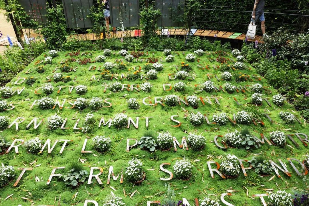 文字带来的魅力,奇特文字符号