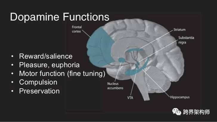 面对困难是坚持还是放弃,无底洞的优势和劣势