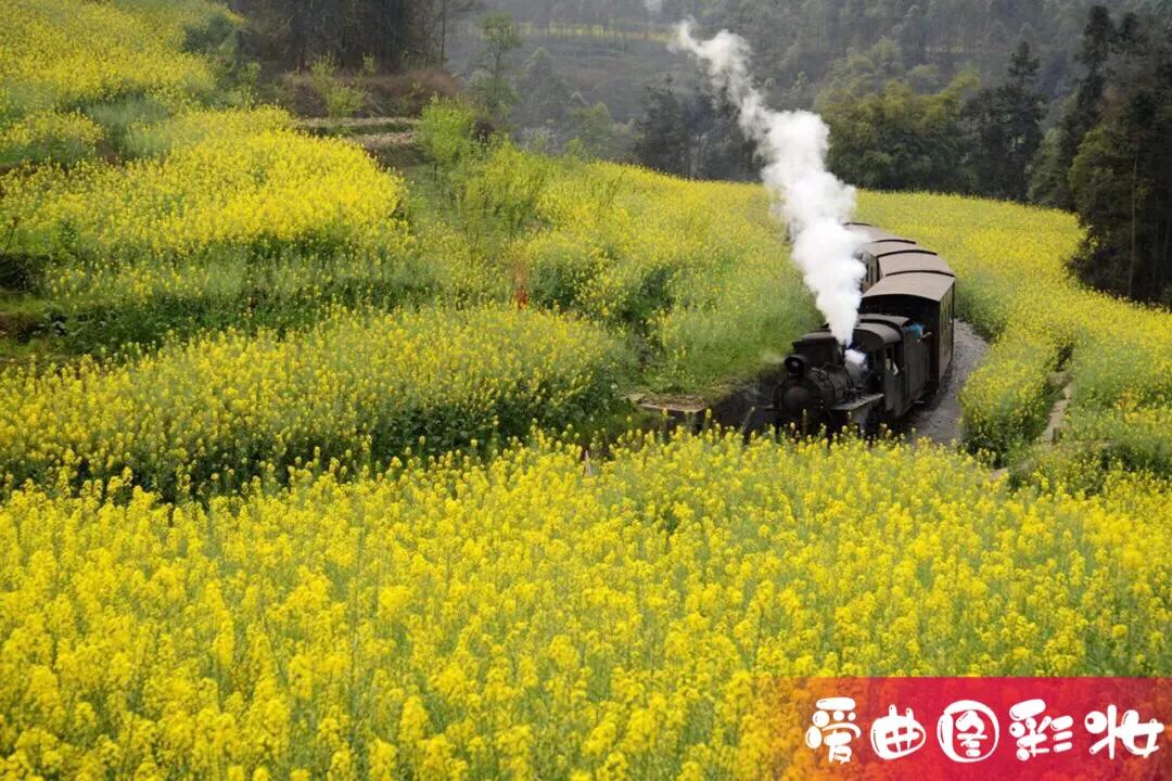 仇要怎么报才解恨,仇要怎么报