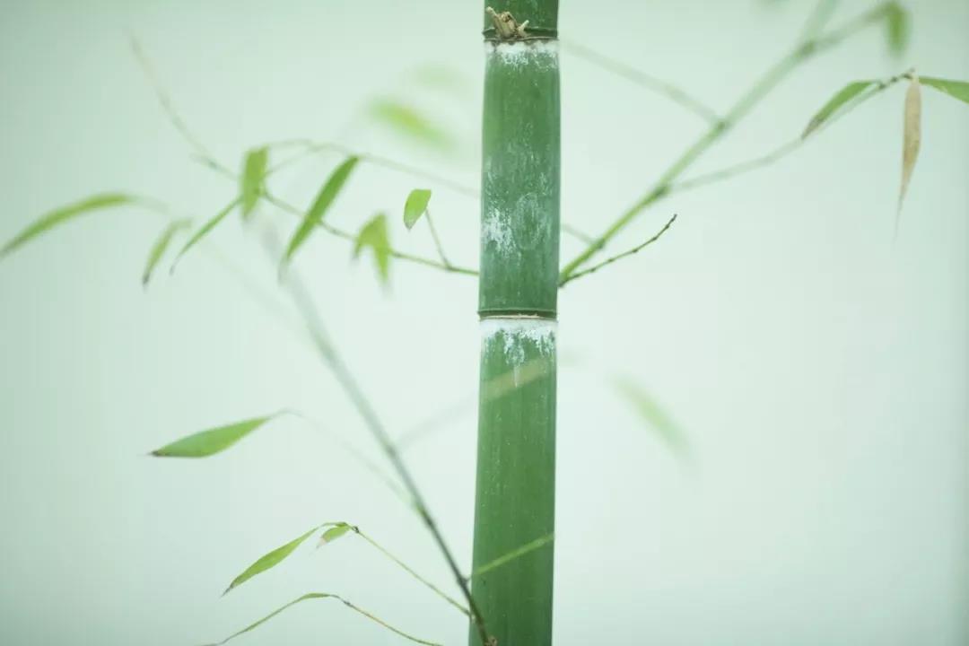 神奇的汉字20个错误,神奇的汉字读一读