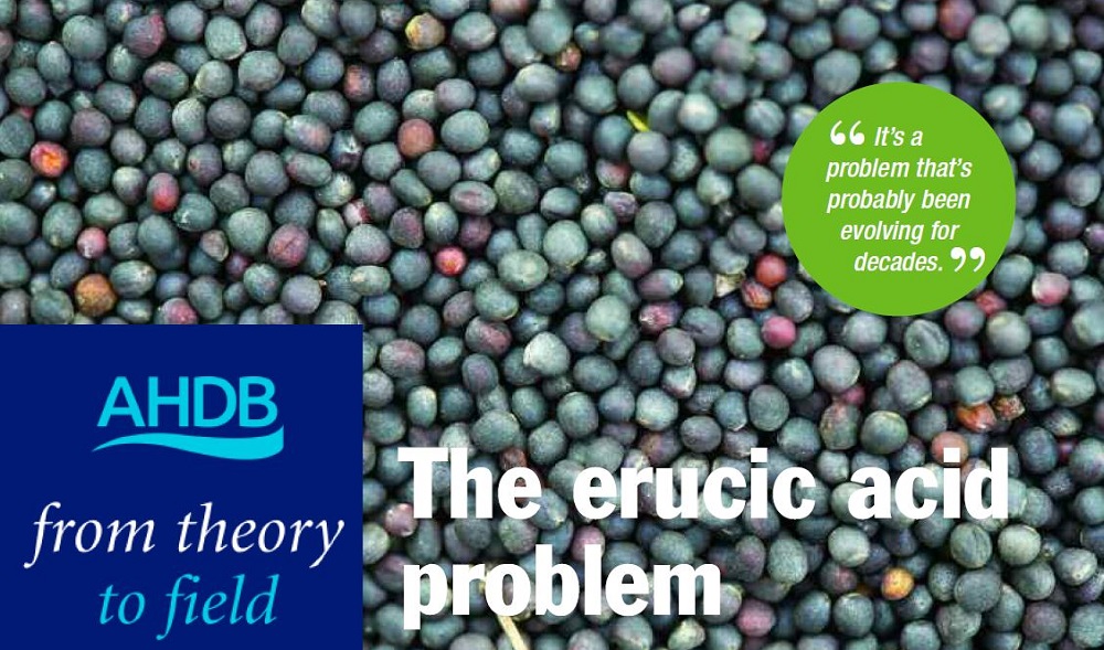 菜籽油油炸有毒吗,菜籽油中存在的天然有毒物质