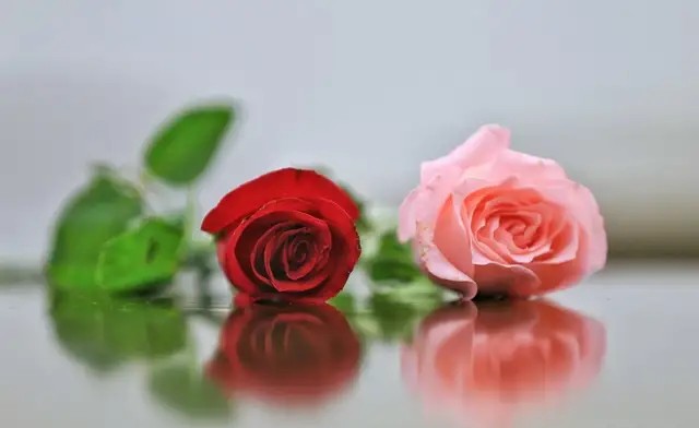 散文笔会,同学聚会散文诗句