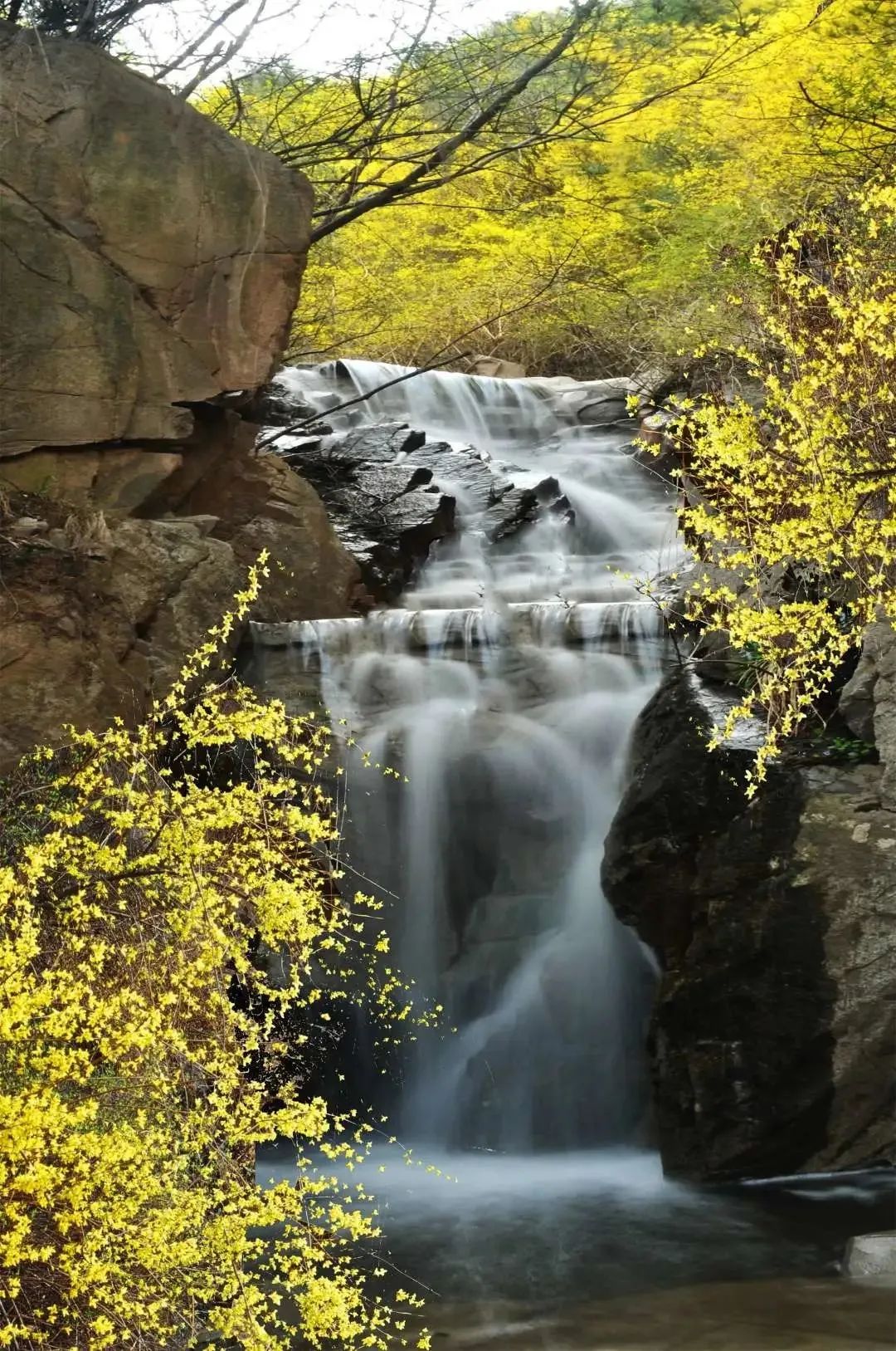 九如山什么季节去最好,九如山赏枫一日游