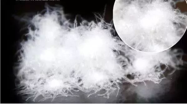 波司登为什么现在都是年轻人穿,日常穿波司登哪一款