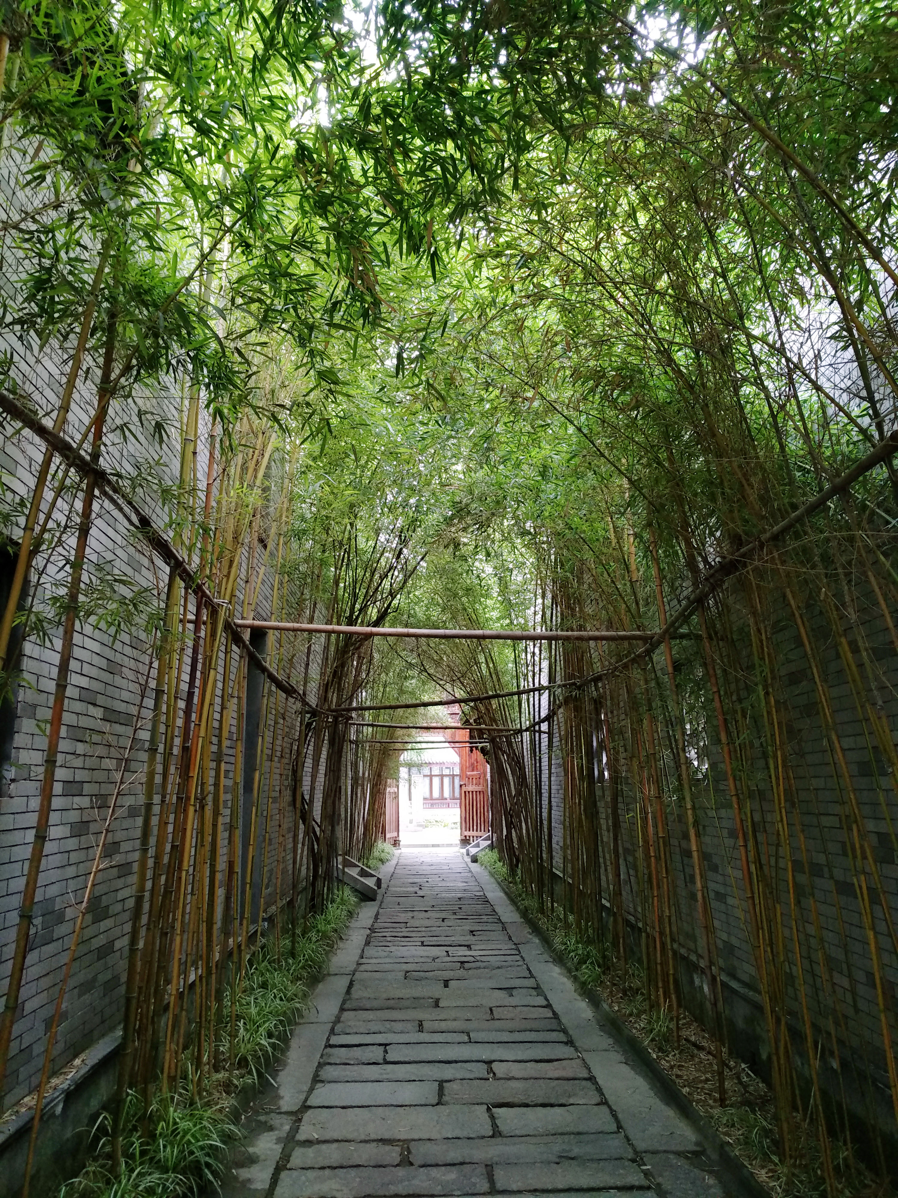 成都龙潭水乡最新消息,成都龙潭水乡别墅区