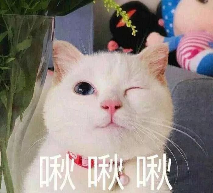 因长相丑被嘲讽后逆袭,因丑被弹幕刷屏挡脸的她