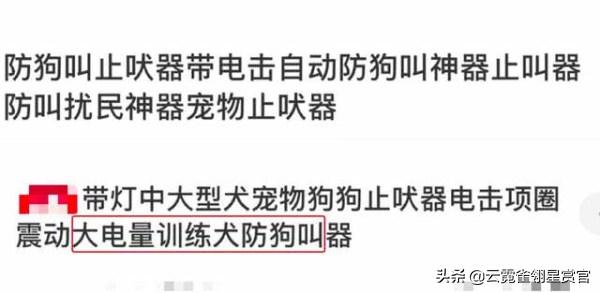 美国28岁女子被自家宠物狗咬死,美国23岁女孩遭虐待