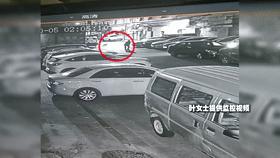 宠物狗路边玩耍被抱走后续,小狗在门口被人抱走了