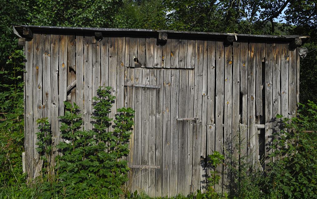 如果在野外迷路了怎么办,野外迷路的正确处理方法