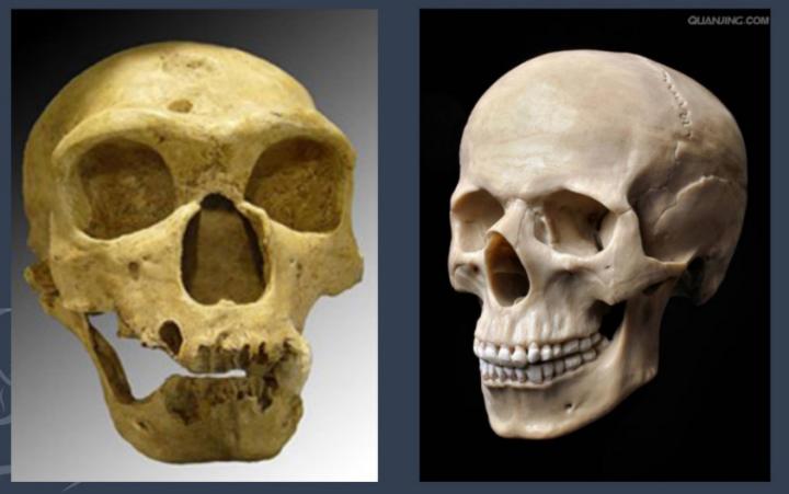 抗衰不再是简单的面部抗衰,抗衰老增加颜值