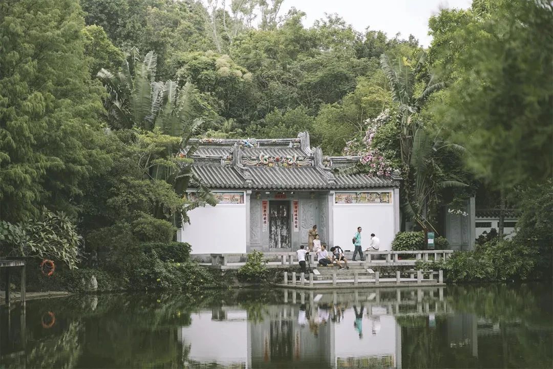 深圳经典一日游路线也太好玩了,深圳一日游经典线路