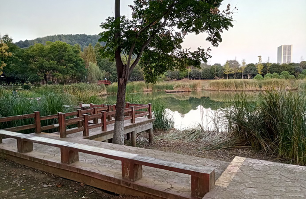 武汉踏青免费烧烤的自然景区,武汉马鞍山森林公园露营地推荐
