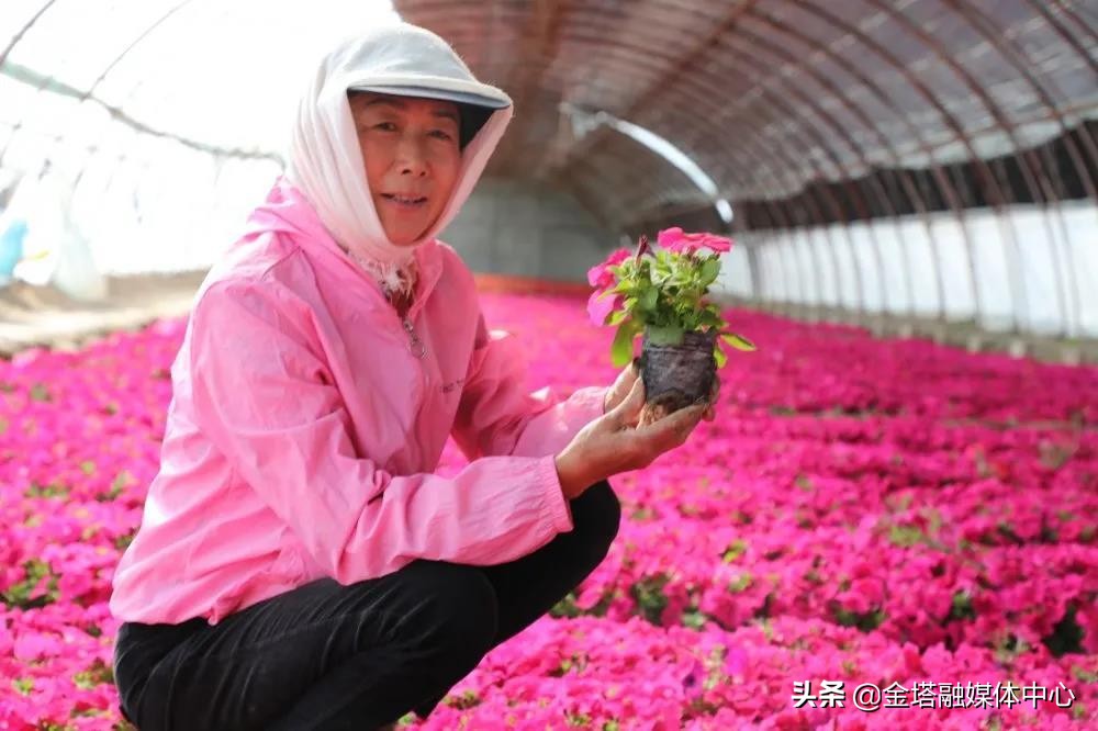 *疆新**兵团二师：开都河畔“花经济”带给职工“花样幸福”