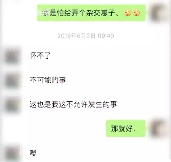 备孕家里的毛孩子怎么办,毛孩子发情期关注事项