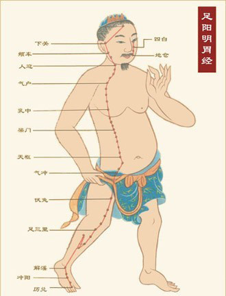 中医面部经络调理,打通面部九大经络