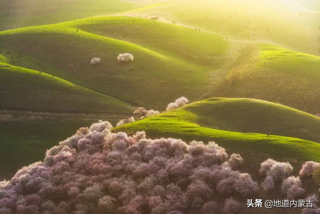 60岁之前要去的十大地方,一生中必去的中国50个最美的地方