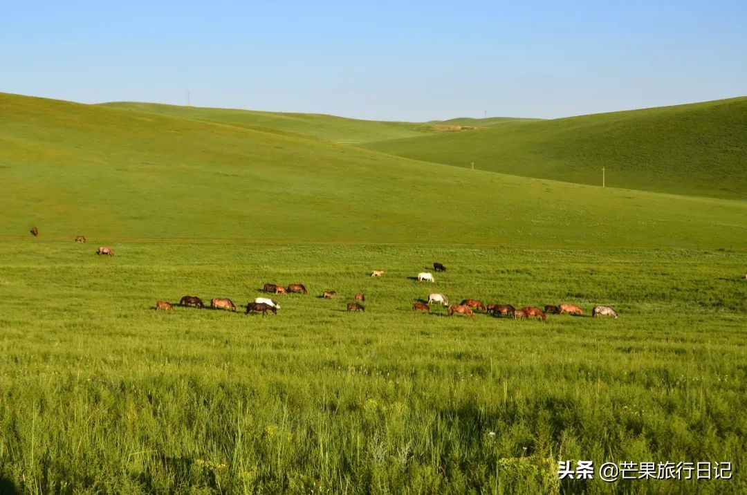 内蒙古最东边的草原,内蒙古真正的草原在哪里
