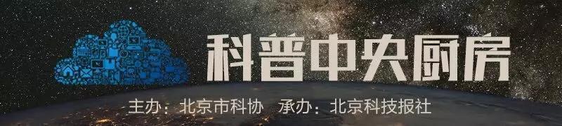 猪肉价格走势问题建议,稳定市场猪肉价格措施