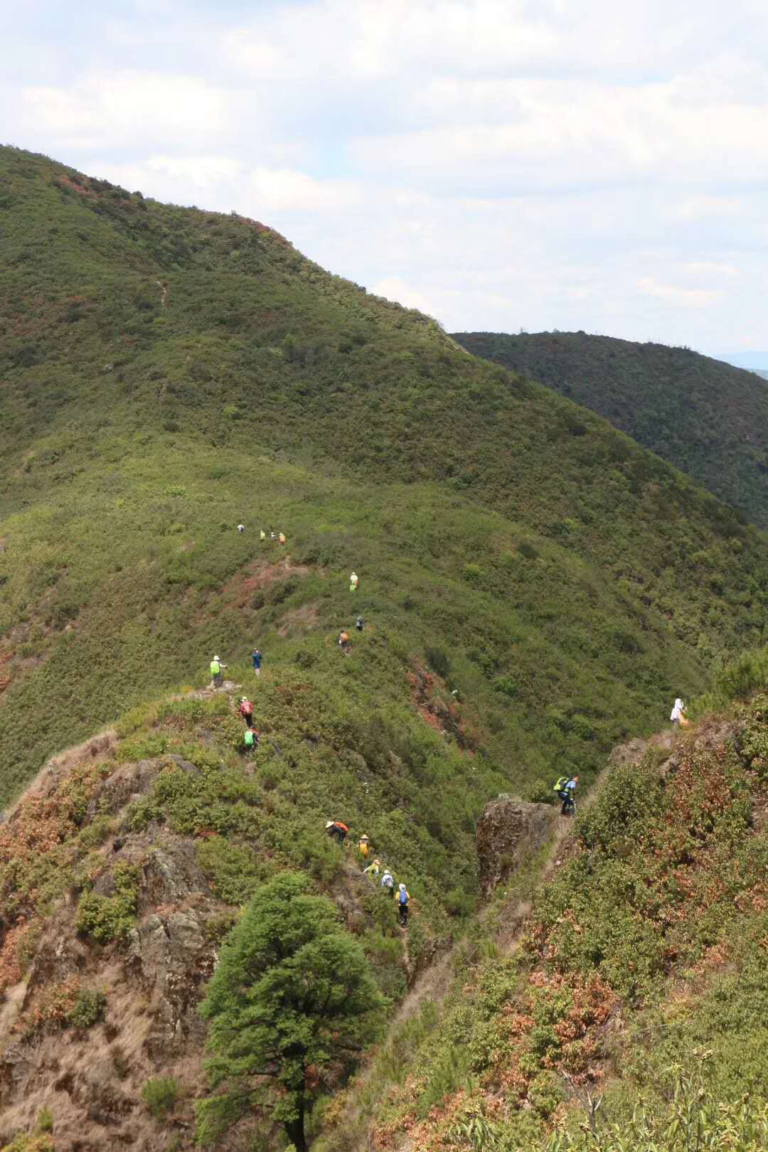 盛夏特约|金色螳螂川徒步笔架山赏向日葵花海