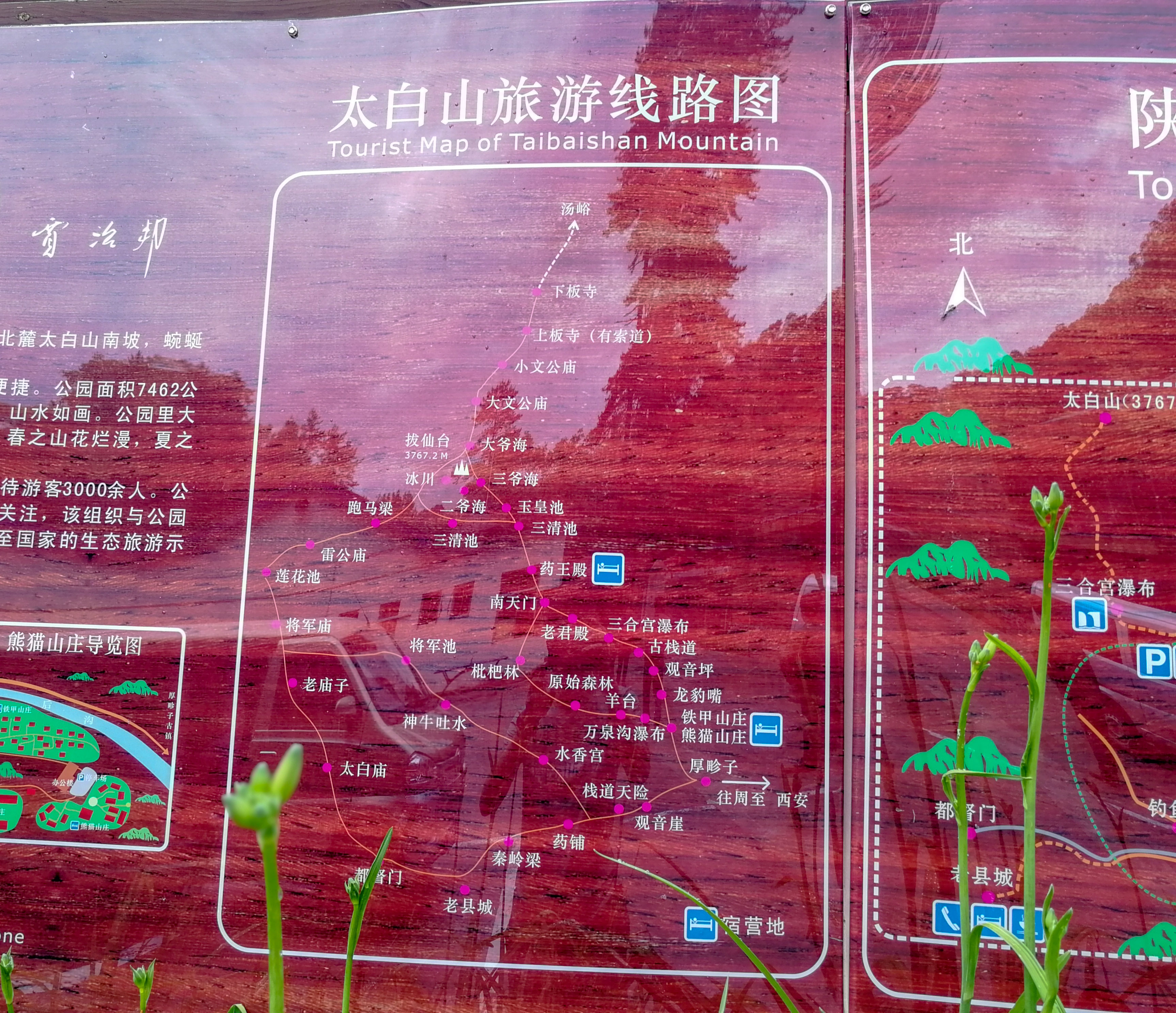 去西安旅游可以不请导游,来西安不爬华山会后悔吗