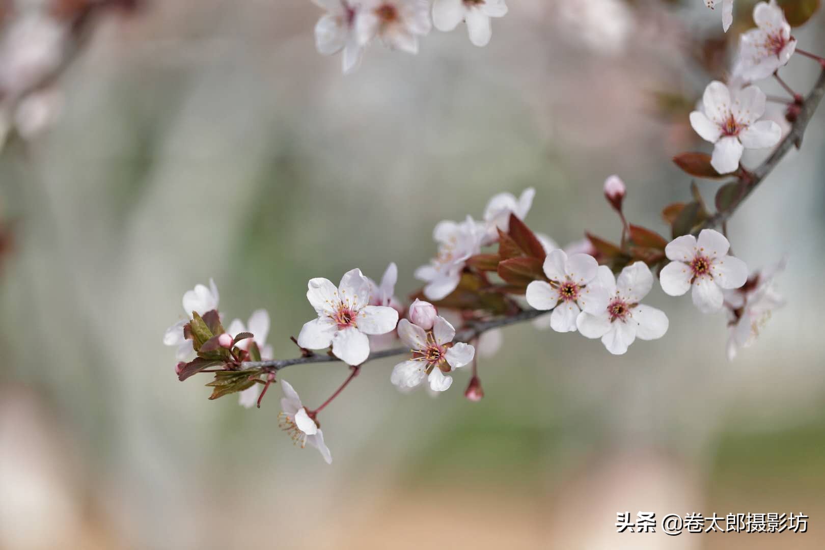 相机焦距跟光圈配合调整吗,相机拍前为什么要调焦距