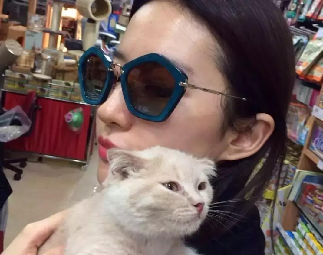 哪些爱豆有养猫,爱豆养猫