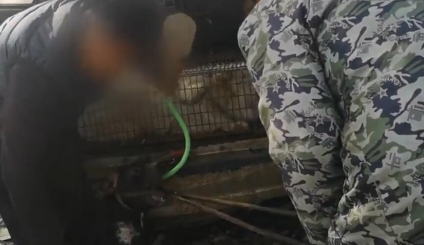 新的50元纸币,新50元纸币来了