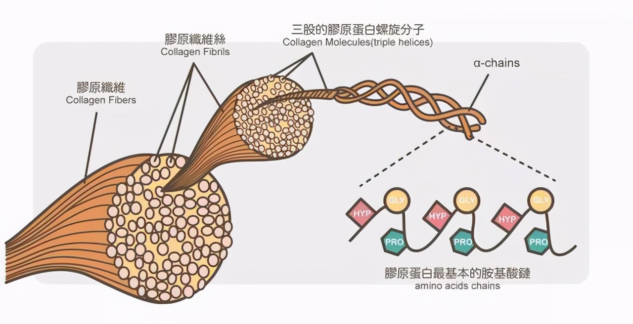 如何消除眼角皱纹和抬头纹的方法,消除川字纹和抬头纹最有效的方法