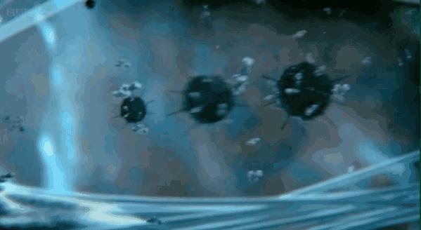 并不是所有的病毒都是“坏人”，它还可以帮你抵御其他有害病毒