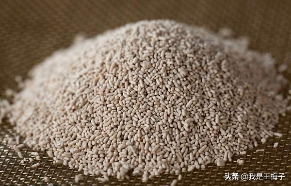 用酵母发面不发什么原因,用酵母发不起面怎么办