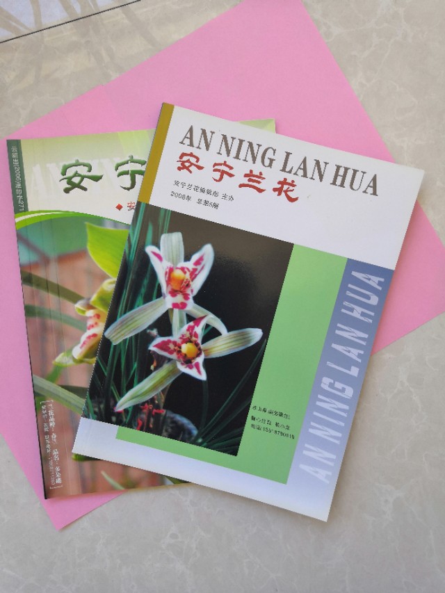 安宁（县）市兰花初期的发展（1991一2010.8）