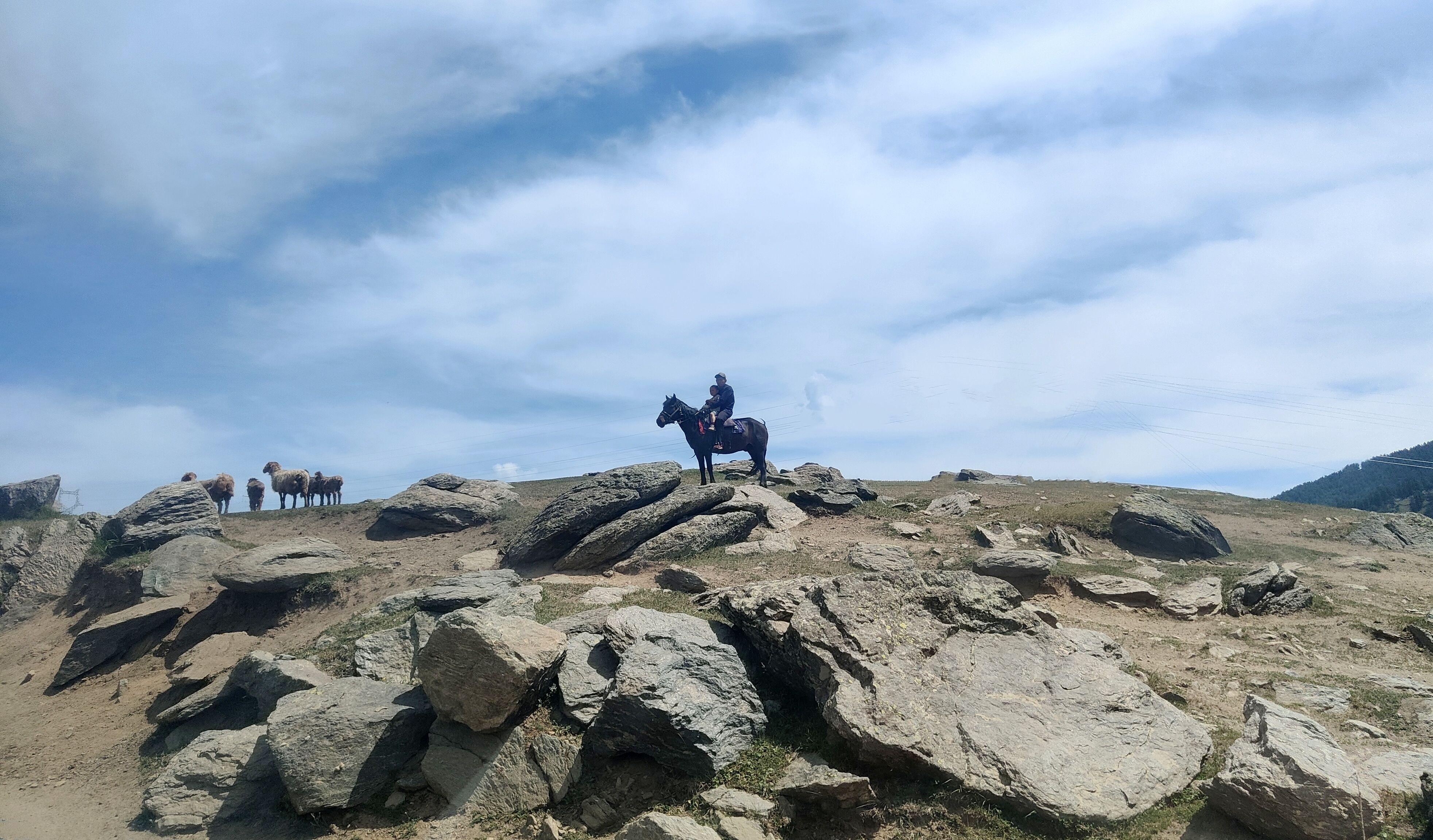 opporeno6pro尝鲜,opporeno6pro+体验