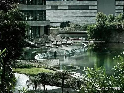 香港创业教程,香港创业项目大全