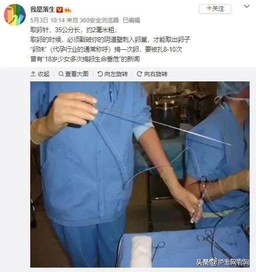 郑爽被曝代孕、弃子！震惊医护圈：“女人的子宫，不该被买卖！”