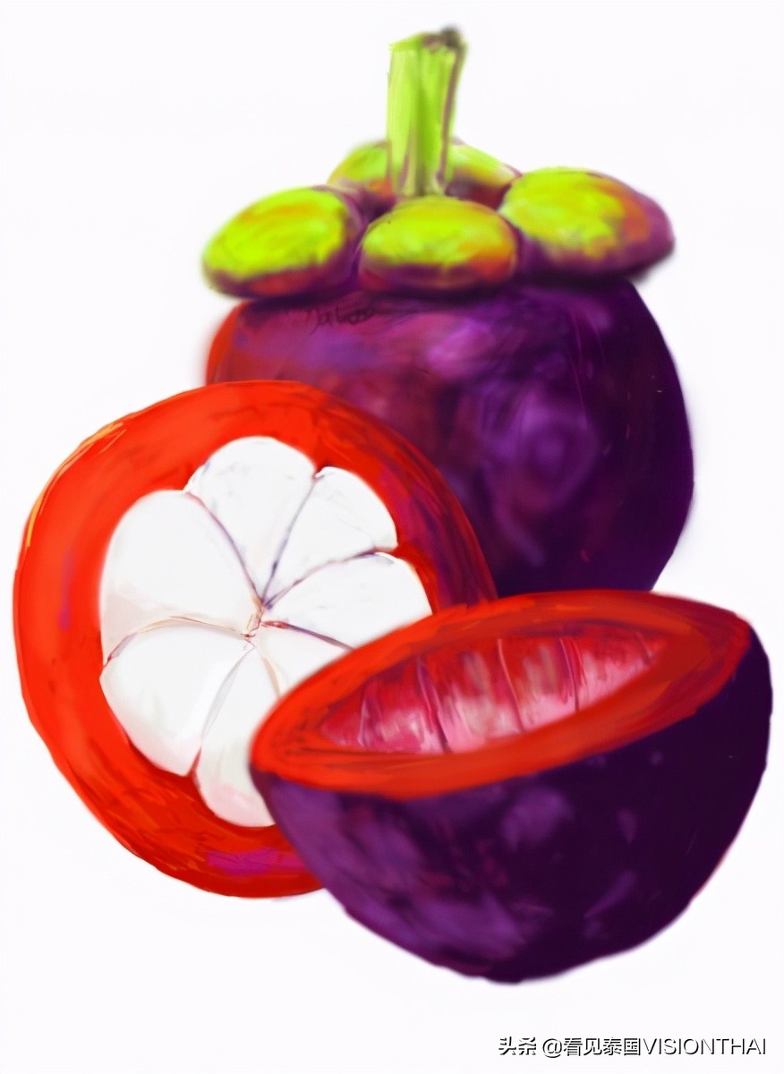 认识50种水果蔬菜,认识热带水果菠萝