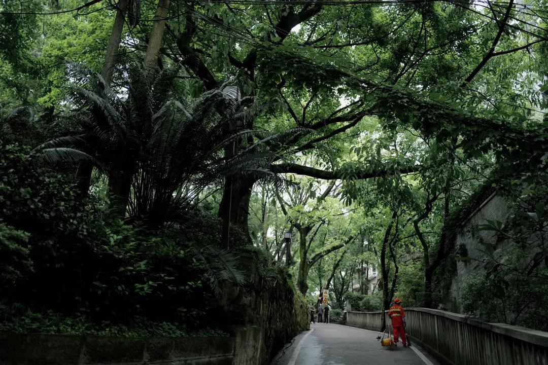重庆旅行危险吗,重庆旅游真的不能去吗