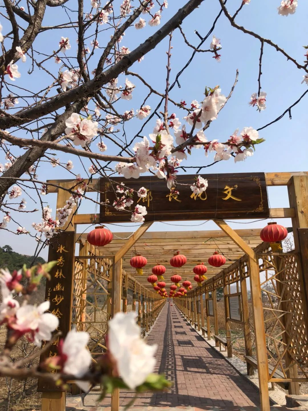 迁安新开景区,迁安新开的景区