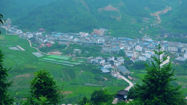 福鼎旅游数据,福鼎纪录片