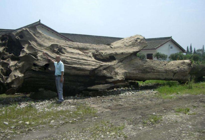 文玩界的秘密介绍,文玩秘密100个