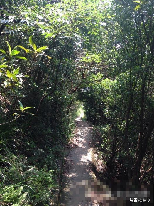 疯子杀女孩的新闻,疯子杀女大学生