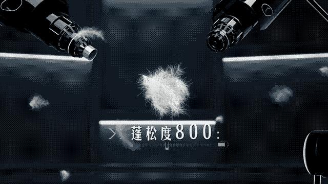 下半年最强冷空气来了,下半年的冷空气