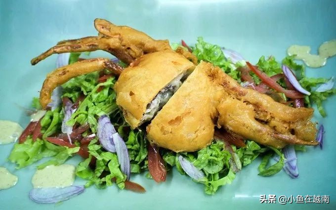 越南旅游美食攻略,越南旅游美食
