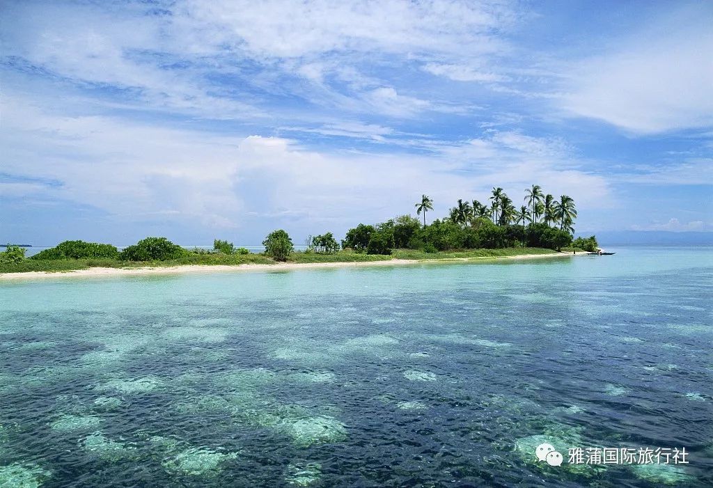 便宜国际机票攻略,廉价机票全攻略