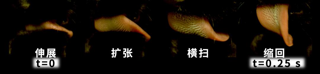 孩子膀胱容量130,儿童最大膀胱容量197正常吗