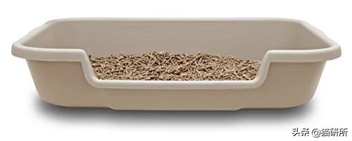 猫咪平替好物推荐,提高猫咪生活质量的几款好物