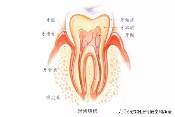 牙齿开瓶盖是嫌它太硬吗？牙齿使用说明书，简直太绝了